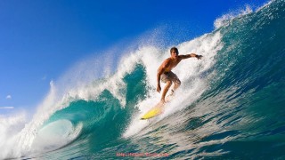 世俱杯直播-CBA蓝领球员的赛场价值及团队贡献评估